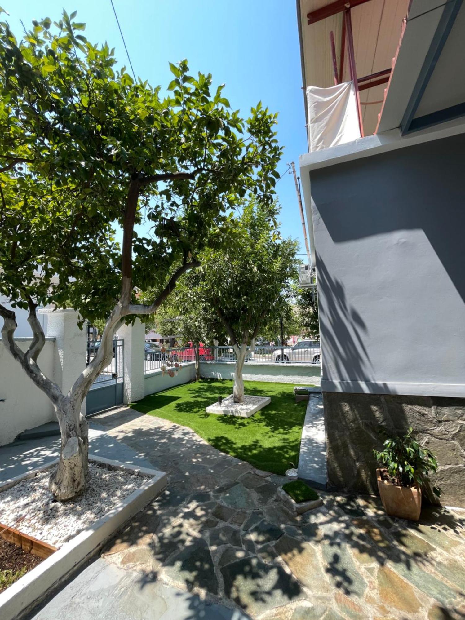 Apartment Lemon Yard