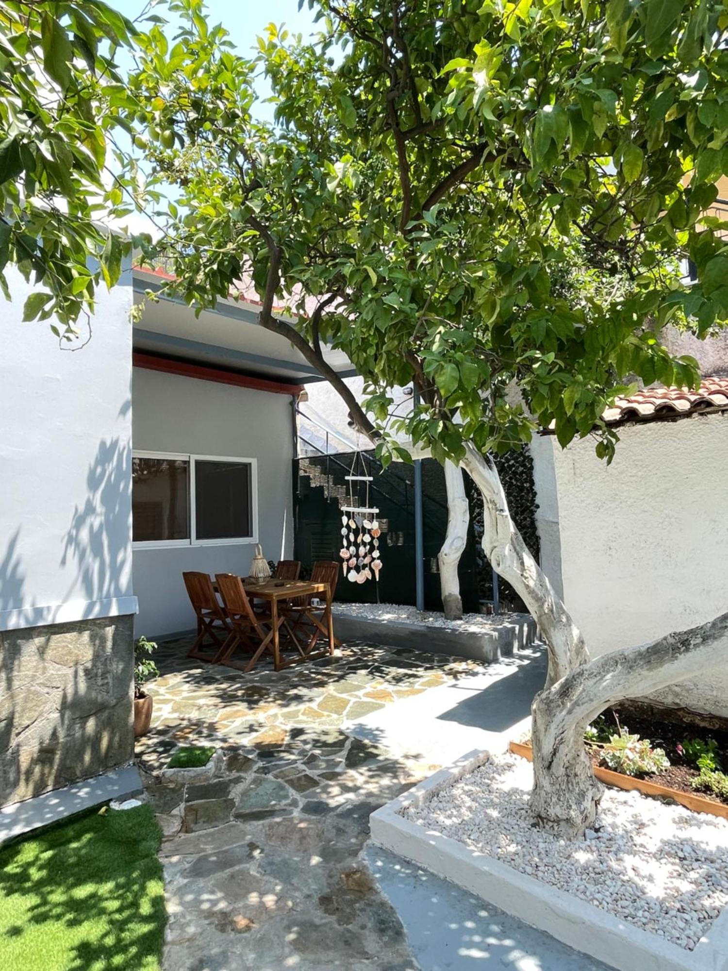 Apartment Lemon Yard